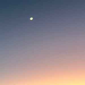 Meet your Posher, Gracyn